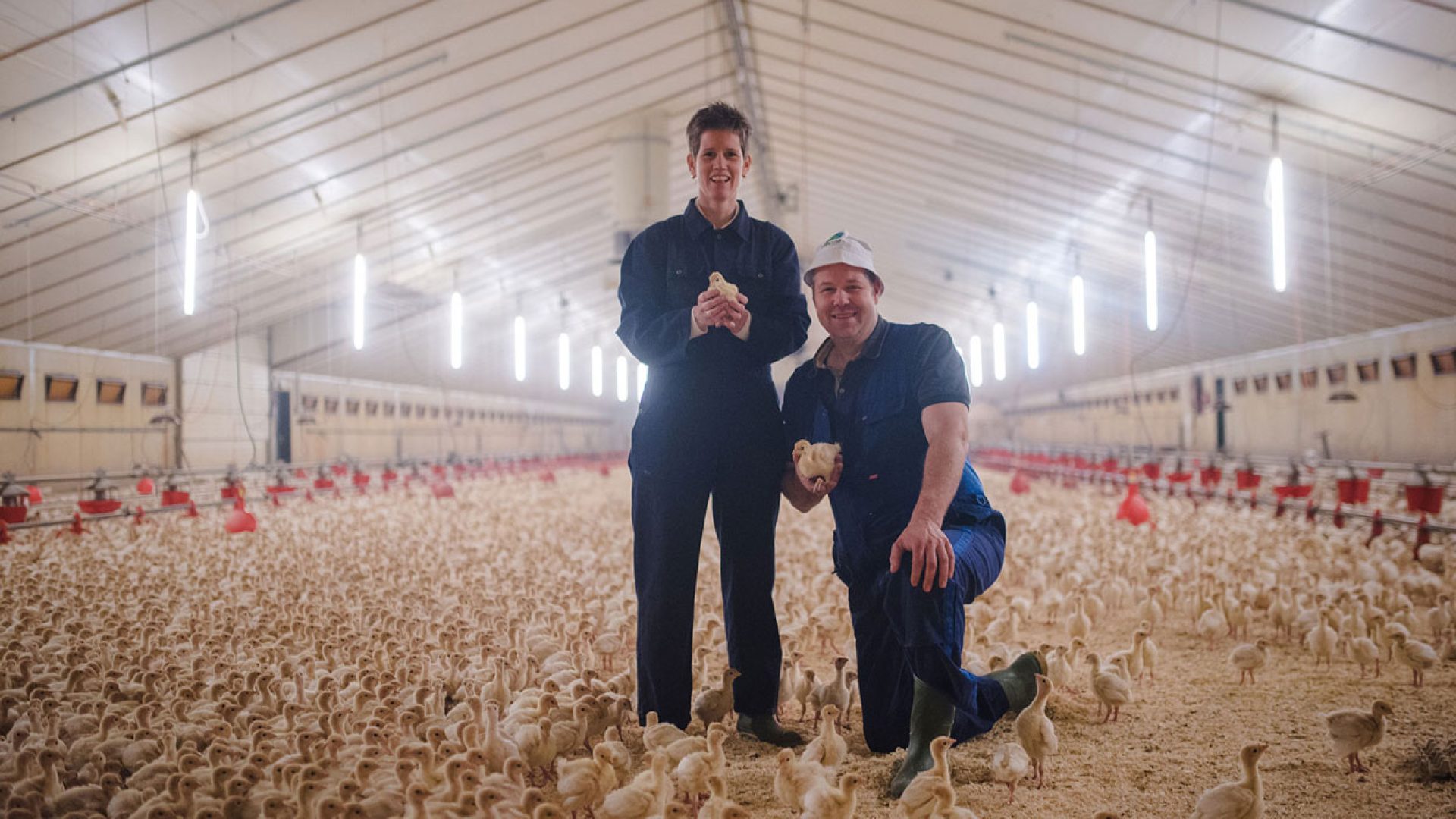 2017_01_16_BoerenvanNederweeert_vanderPutten-10