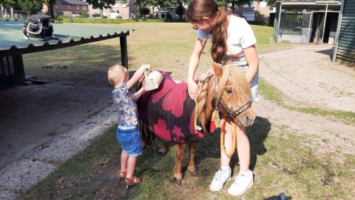 2024_10_26-Verdriet-dierenweide-West-Nederweert-Pony-Vosje-overleden-4 2024_10_26-Verdriet-dierenweide-West-Nederweert-Pony-Vosje-overleden-4