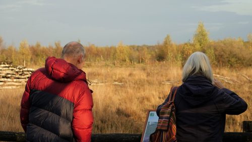 2025-09-26-Peeltocht_de_Groote_Peel