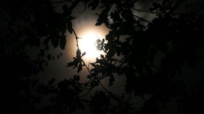 2025-09-27-Volle_Maan_de_Groote_Peel