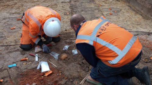 2025-10-17-Acht_skeletten_Weert