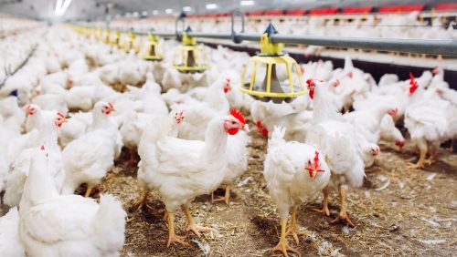 Foto | davit85 - depositphotos.com