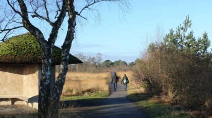 2025-12-03-Boswandeling_de_Peel