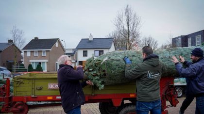 2025-12-06-Buurtboom_Raadhuispein-t21