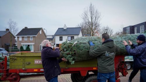 2025-12-06-Buurtboom_Raadhuispein-t21