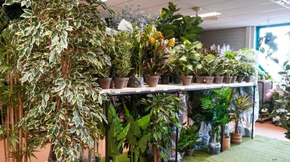 20250311_Homegardendeco-en-Grasdieren-verhuisd-naar-nieuwe-locatie-in-Nederweert_2