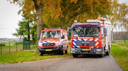 20251111_Koe-vast-in-mestput-aan-Vlakwater-in-Leveroy_3