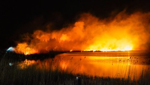 2025_04_03-Zeer-grote-bosbrand-Budel-9