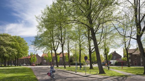 2025_05_22-WeertEnergie-organiseert-gratis-mini-symposium-ENERGIE-k-wonen-en-werken-in-Weert