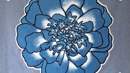 2025_05_24-Corien-van-der-Heijden-afrikaantje