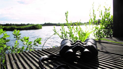 2025_05_28-Overlijdensbericht-Theu-van-Veldhoven3