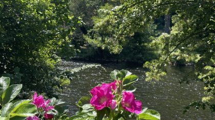 2025_06_28-Van-bewuster-zijn-naar-bewust-er-zijn
