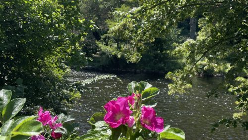 2025_06_28-Van-bewuster-zijn-naar-bewust-er-zijn