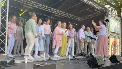 2025_06_30-Seizoensafsluiter-The-Raystabbing-Singers-geannuleerd-