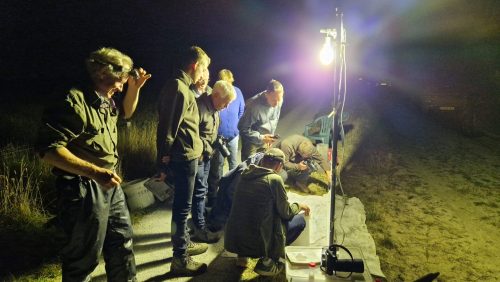 2025_09_01-Peelvenen-Ecotop-2025-Over-geologie-water-vasthouden-en-sponswerking