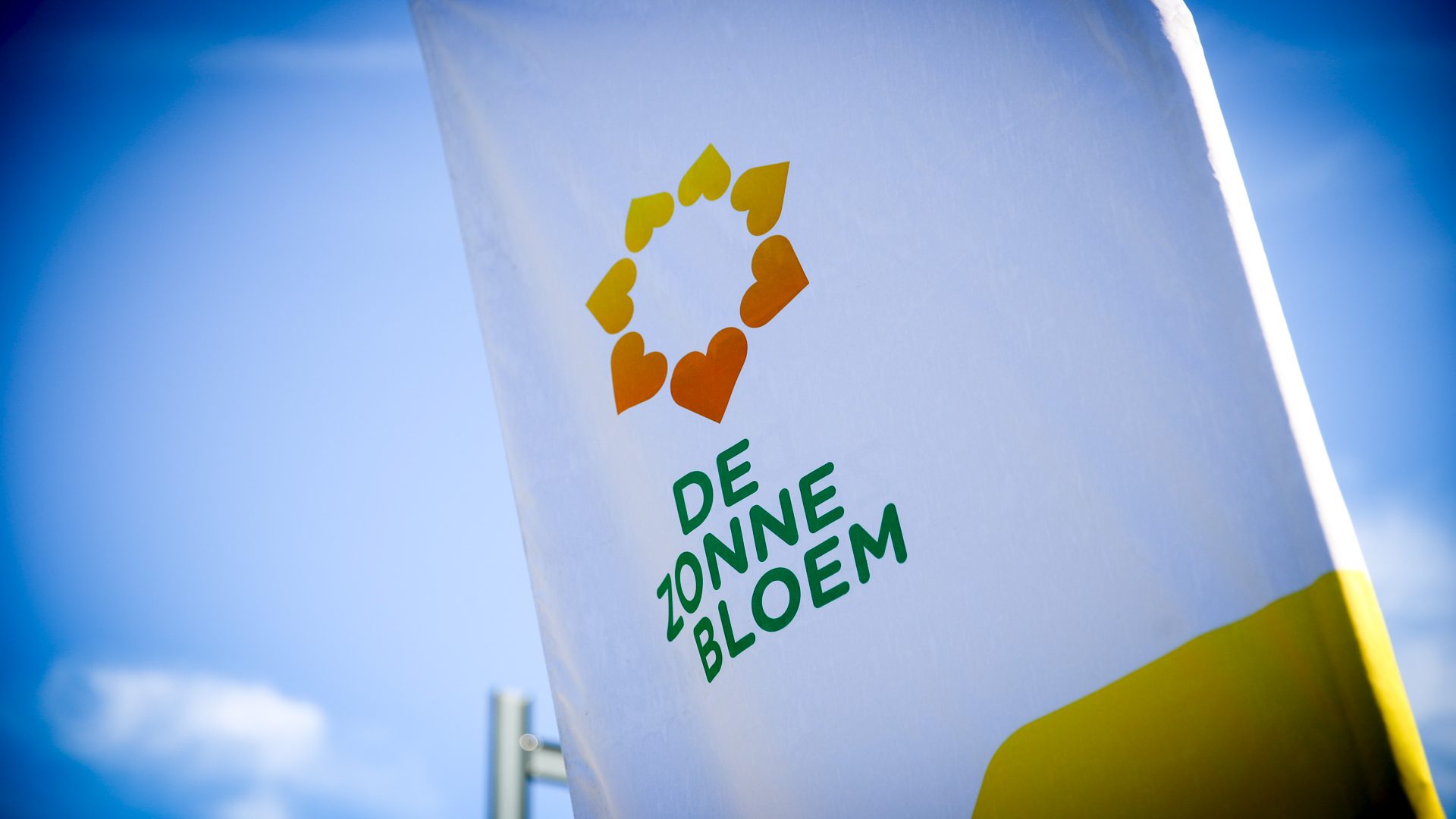 2025_09_19-60-jaar-zonnebloem-Nederweert-2