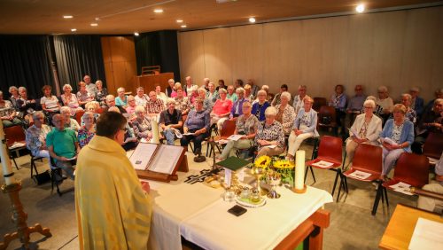 2025_09_19-60-jaar-zonnebloem-Nederweert-9