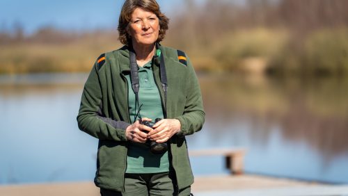 INOVA | Jarno Schijven