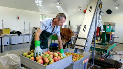 2025_10_09-AARDS-Sap-maken-van-eigen-appels-en-peren-1