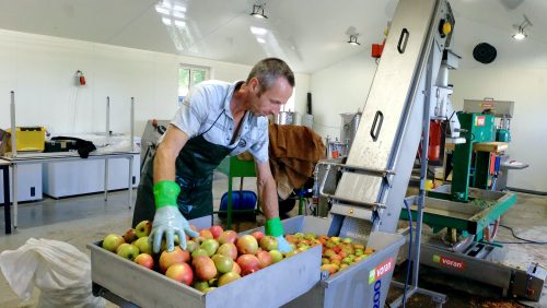 2025_10_09-AARDS-Sap-maken-van-eigen-appels-en-peren-1
