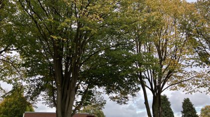 2025_10_24-Kom-naar-de-officiele-opening-van-de-Prinselikke-Boumroute