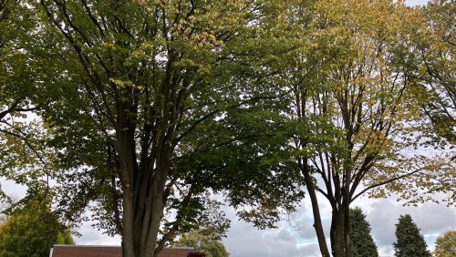 2025_10_24-Kom-naar-de-officiele-opening-van-de-Prinselikke-Boumroute