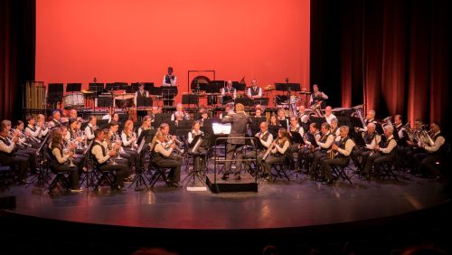 Foto | Simon Pustjens.