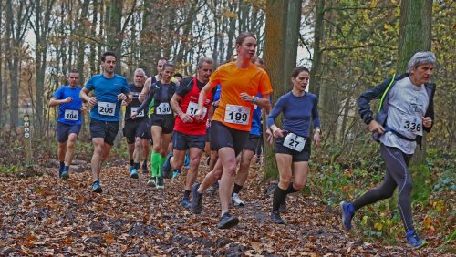 Foto | Otto Plantema