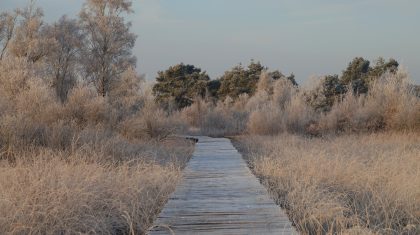 Foto | Marijke Vaes-Schroën