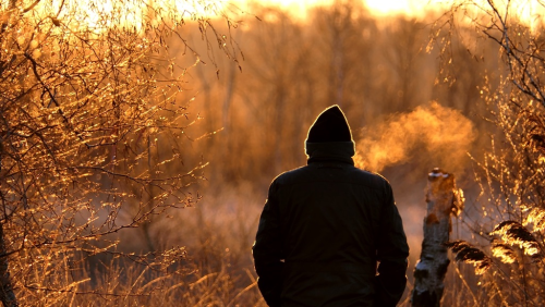 Foto | Marijke Vaes-Schroën