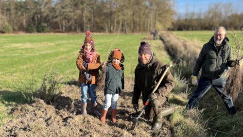 2025_11_28-1300-nieuwe-struwelen-voor-landschapsbeheer-Colusdijk1