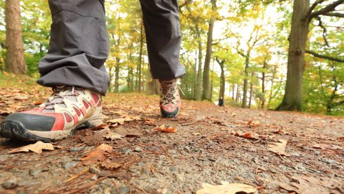 Foto | ryanking999 - depositphotos.com