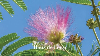 2025_12_09-Overlijdensbericht-Hans-de-Leuw1