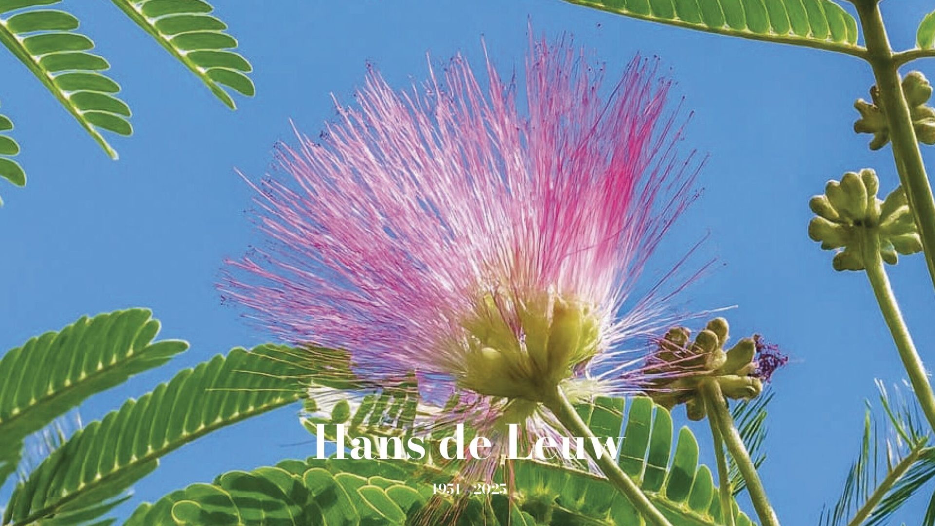 2025_12_09-Overlijdensbericht-Hans-de-Leuw1