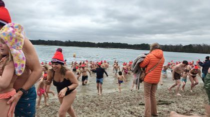 Foto | Blauwe Meertje Weert