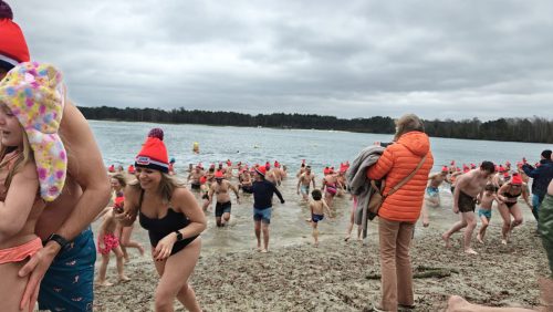 Foto | Blauwe Meertje Weert