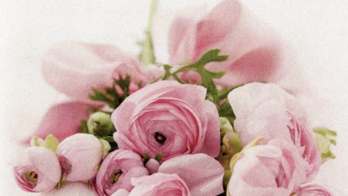 2025_12_19-Overlijdensbericht-Marleen-Wijen-Piepers6