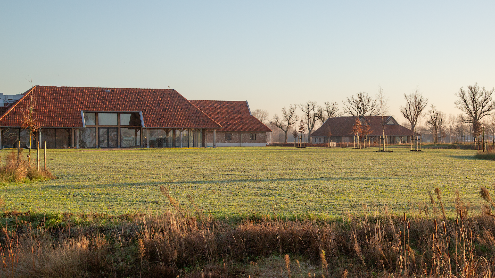 2025_12_29-Hoevedezwingel-3