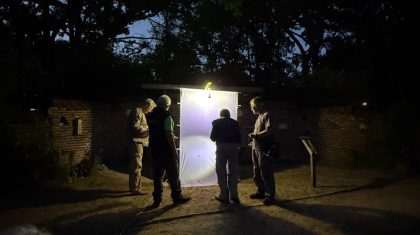 2026-06-08-Maak-kennis-met-de-wondere-wereld-van-de-nachtvlinders