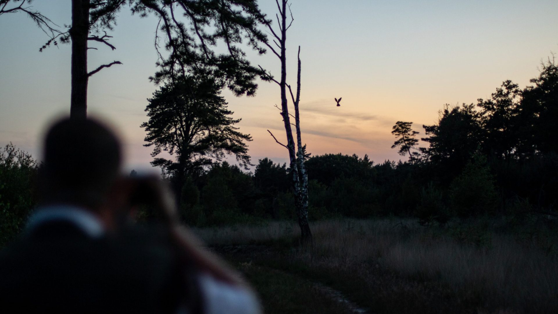 Marco van de Burgwal | Staatsbosbeheer