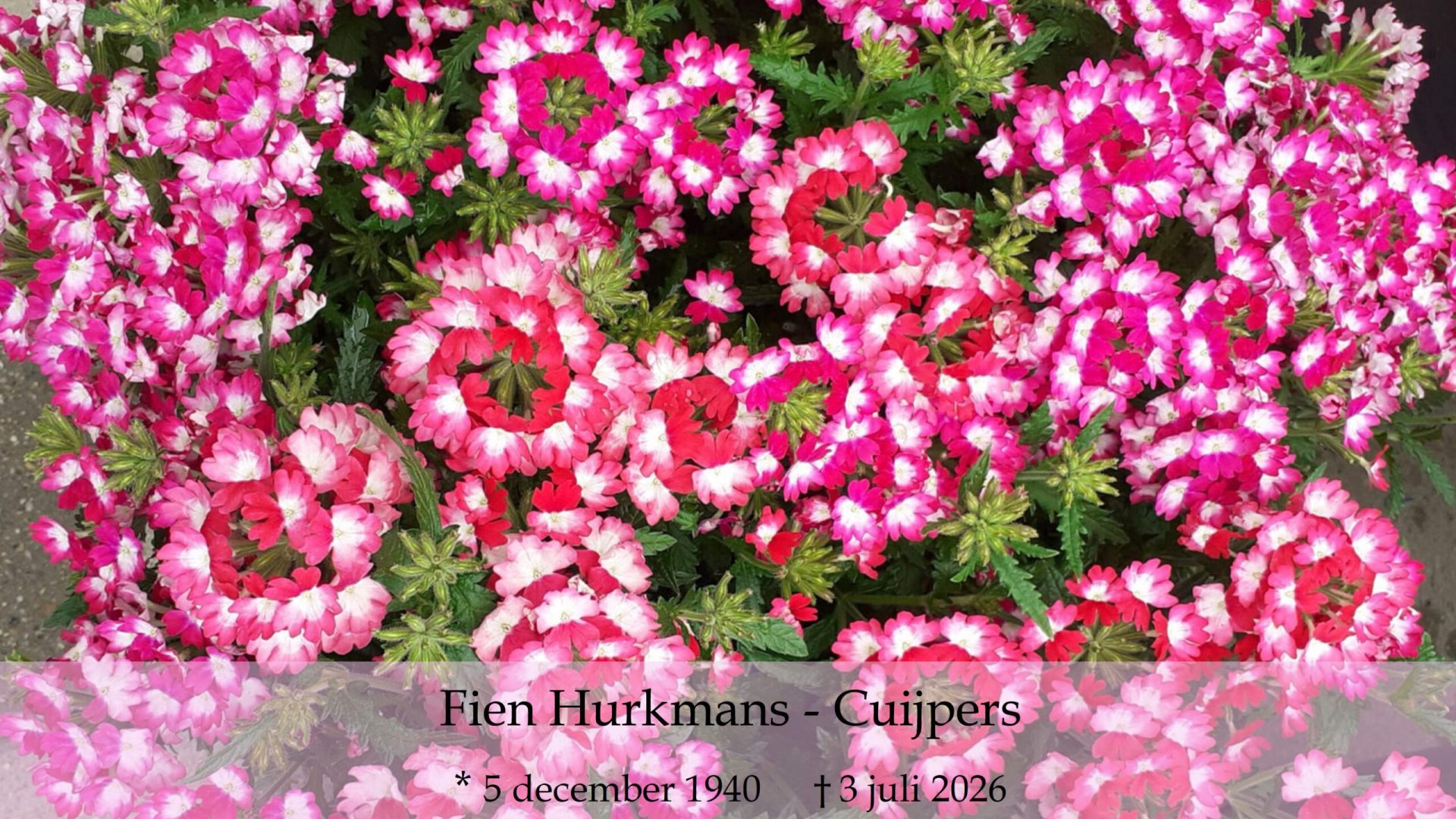 2026-07-07-2026-07-07-Overlijdensbericht-Fien-Hurkmans-Cuijpers3
