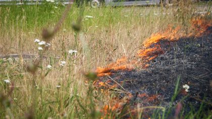 2026-07-13-Bermbrand-Rijksweg-Noord-N266b-Nederweert-2