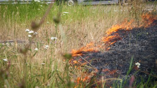 2026-07-13-Bermbrand-Rijksweg-Noord-N266b-Nederweert-2