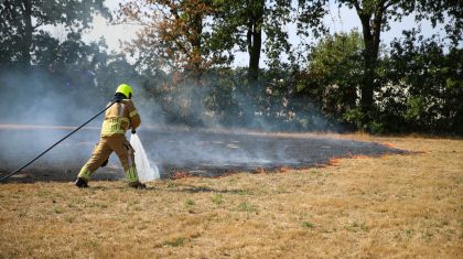 2026-08-02-Akkerbrand-Schansbeemden-Ell-9