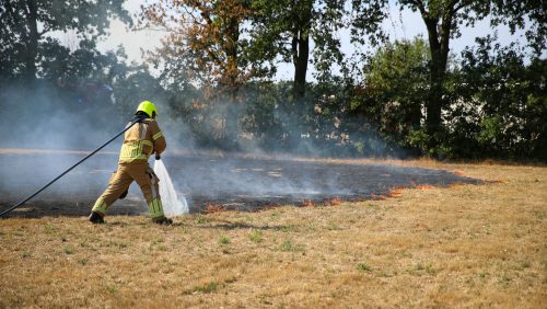 2026-08-02-Akkerbrand-Schansbeemden-Ell-9