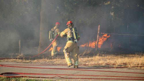 2026-08-06-Bosbrand-Schoordijk-Nederweert-5