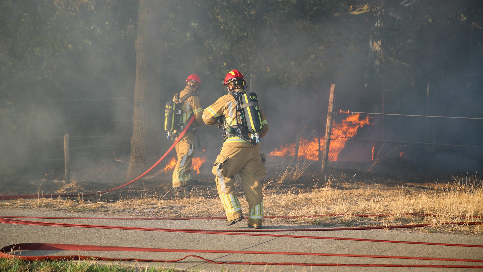2026-08-06-Bosbrand-Schoordijk-Nederweert-5