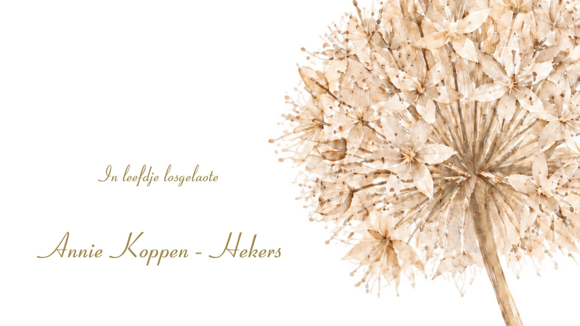 2026-09-08-Overlijdensbericht-Annie-Koppen-Hekers1