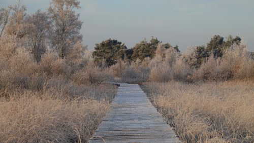 Foto - Marijke Vaes