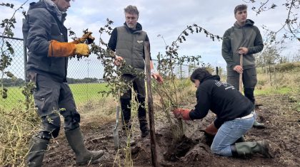 2026-10-15-Natuurwerkdag-bij-AARDS-samen-aan-de-slag-op-de-Aarderij